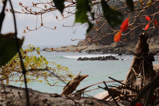 Manuel Antonio National Park - Beach Manuel Antonio