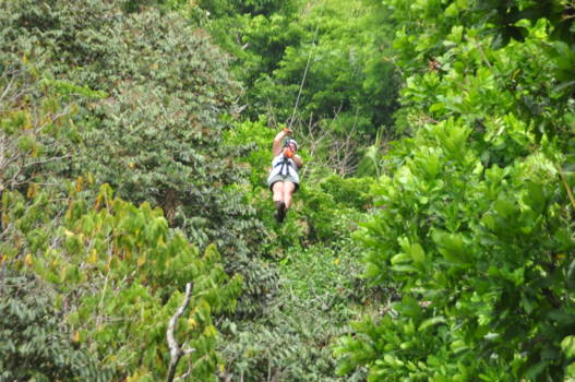 Manuel Antonio National Park - Canopy Tour Manuel Antonio