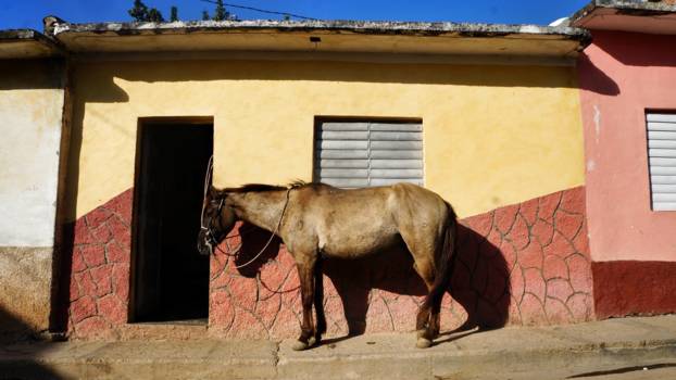 Trinidad (Cuba) - Heel normaal in Trinidad