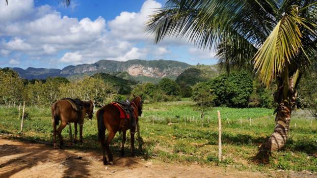 Viñales Valley