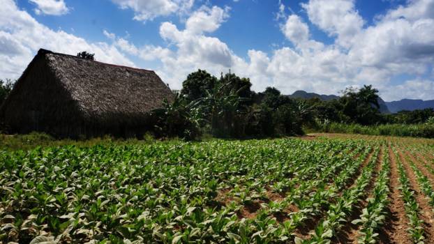 Viñales Valley