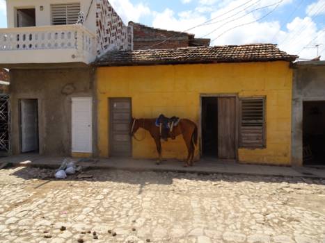 Trinidad (Cuba) - Paard voor de deur