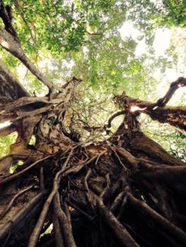 Manuel Antonio National Park