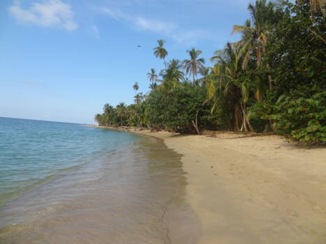 Puerto Viejo de Talamanca - Punta Uva