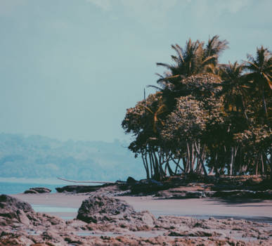 Punta Banco - Punta Banco.