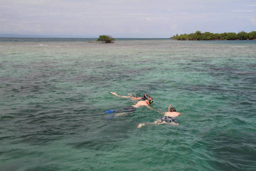 Belize - Snorkelen