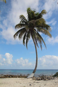 Belize - Goff's Caye