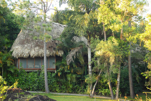 Belize - blancaneaux lodge