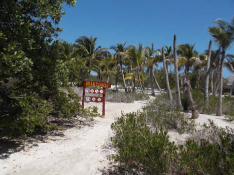 Cuba - on bewoond eiland met hagelwittte starnden