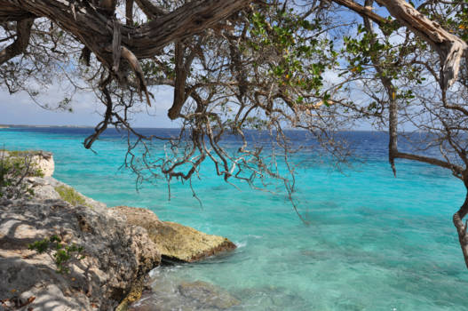 Bonaire - The deep blue...
