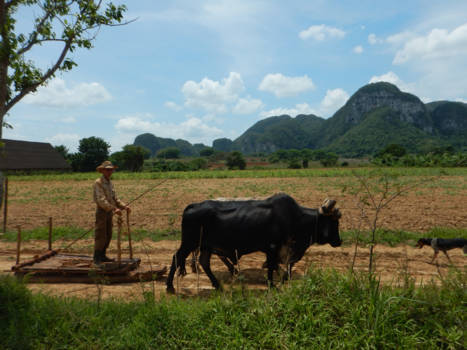 Cuba - Als uit een sprookje