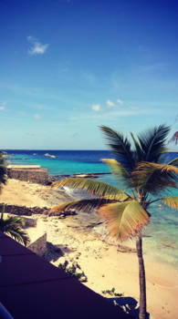 Bonaire - Another day at work