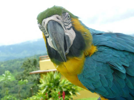 Costa Rica - How are you doing?!