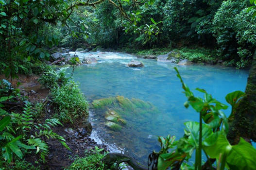 Costa Rica - Rio Celeste