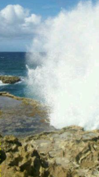 Curaçao - Natuurparken