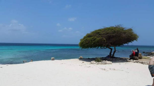 Aruba - Eagle beach