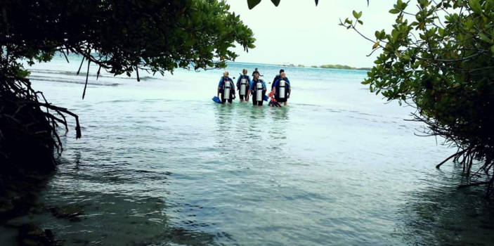 Aruba - Duiken is echt een aanrader op Aruba!