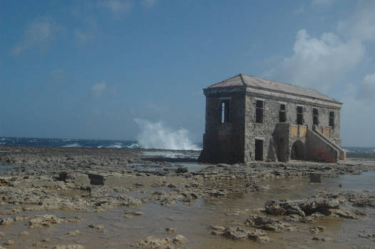 Bonaire - Bizar monument in the beach