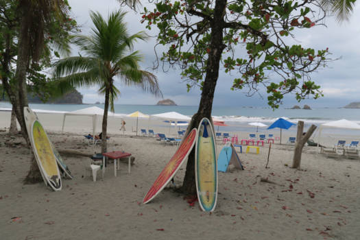Manuel Antonio National Park - Next to nature