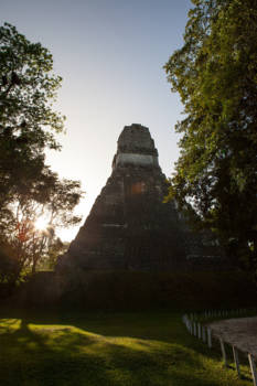 Tikal - Rise and shine