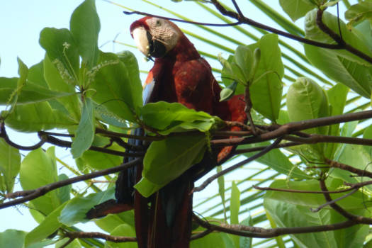 Costa Rica - Amazing View