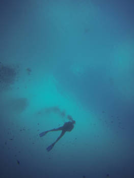 Bonaire - Duikersparadijs Bonaire