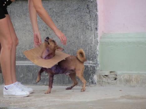 Havana - De creativiteit van het arme, warme, prachtige Cuba