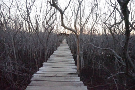 Tamarindo - It's a long way from here.