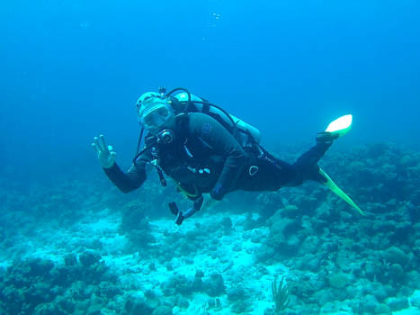 Bonaire - Everything ok!