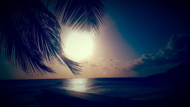 Curaçao - Palmbladeren omarmen de ondergaande zon