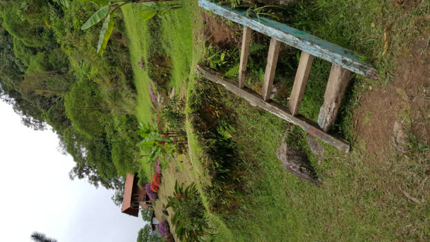 Boquete - Boquete trap