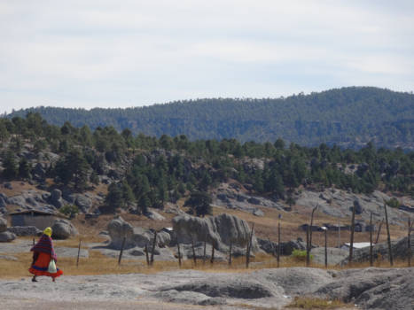 Mexico - Daily business