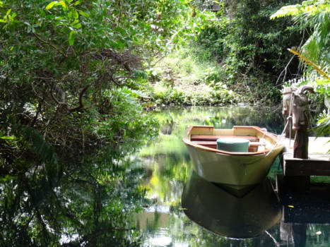 Mexico - Entorno Tranquila En México