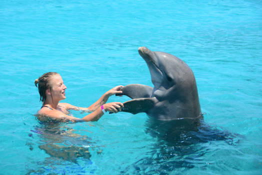 Curaçao - Dolphin Academy