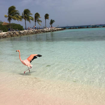 Aruba - Aruba Renaissance Island