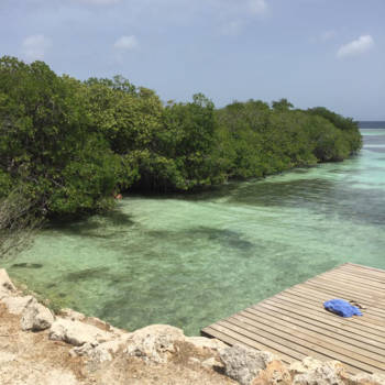 Aruba - Mangel Halto beach