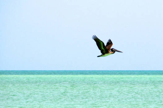 Campeche - Mexican view