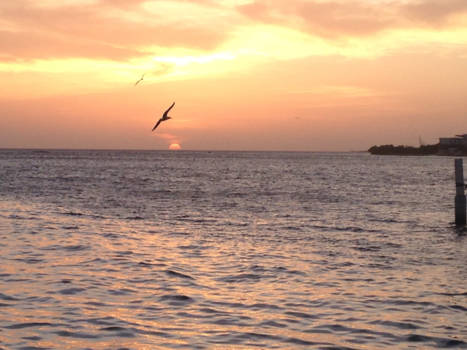 Aruba - One happy island, dinner at De Zeerover