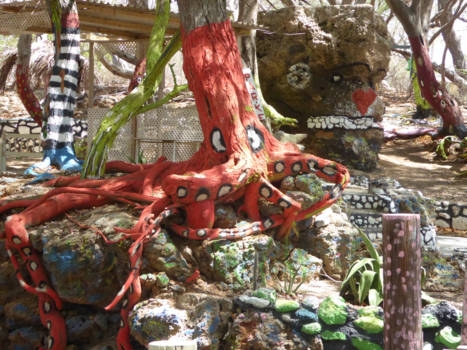 Curaçao - Octopus playa kalki