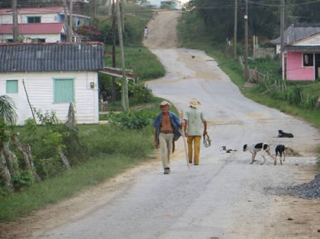 Viñales Valley - Het dagelijkse leven van de sigarenboeren uit de vallei van Viñales