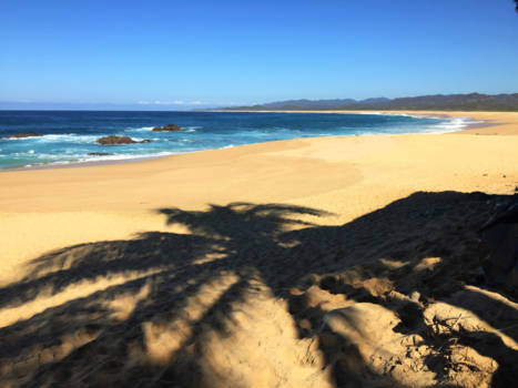 Mexico - Beautiful virgin beach