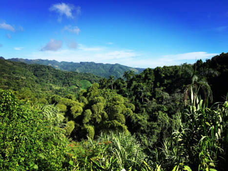 Cuba - Topes de Collantes