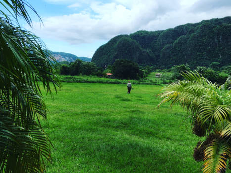 Cuba - Mural de la Prehistoria