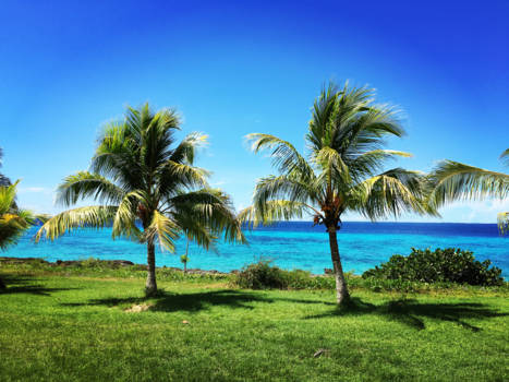 Cuba - De Caribische zee