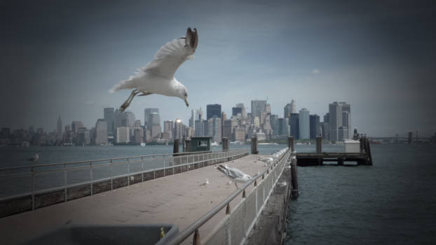 Mexico - Skyline new york Lucky shot