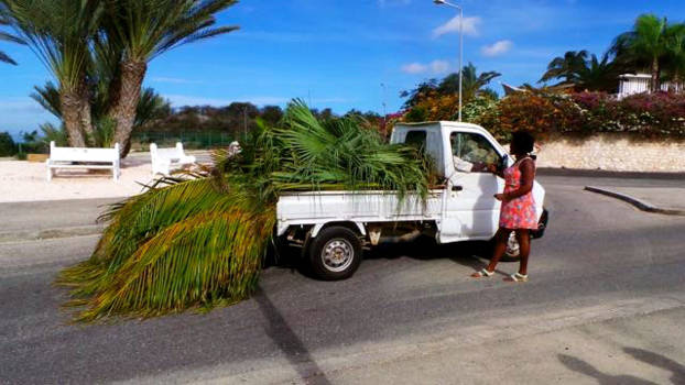 Curaçao - JanThiel baai