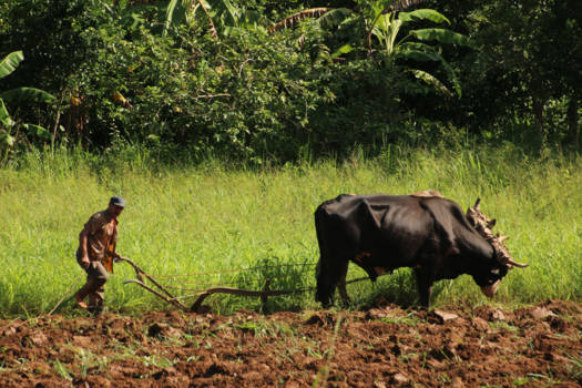 Cuba - Help, mijn laars!!