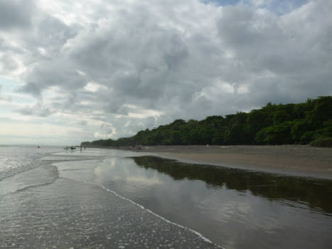 Costa Rica - Groene kust