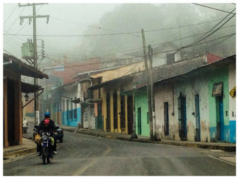 Mexico - Xalapa fog