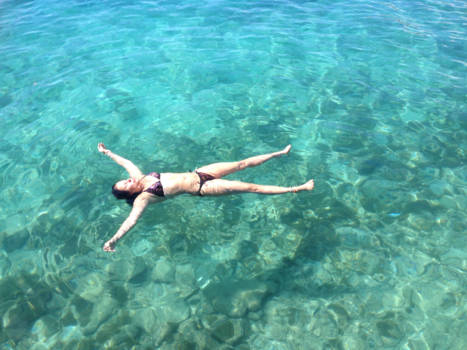 Bonaire - Zeesterren...